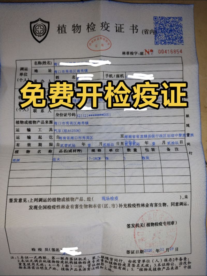 代开苗木检疫证，水果蔬菜检疫证，专业代开检疫证