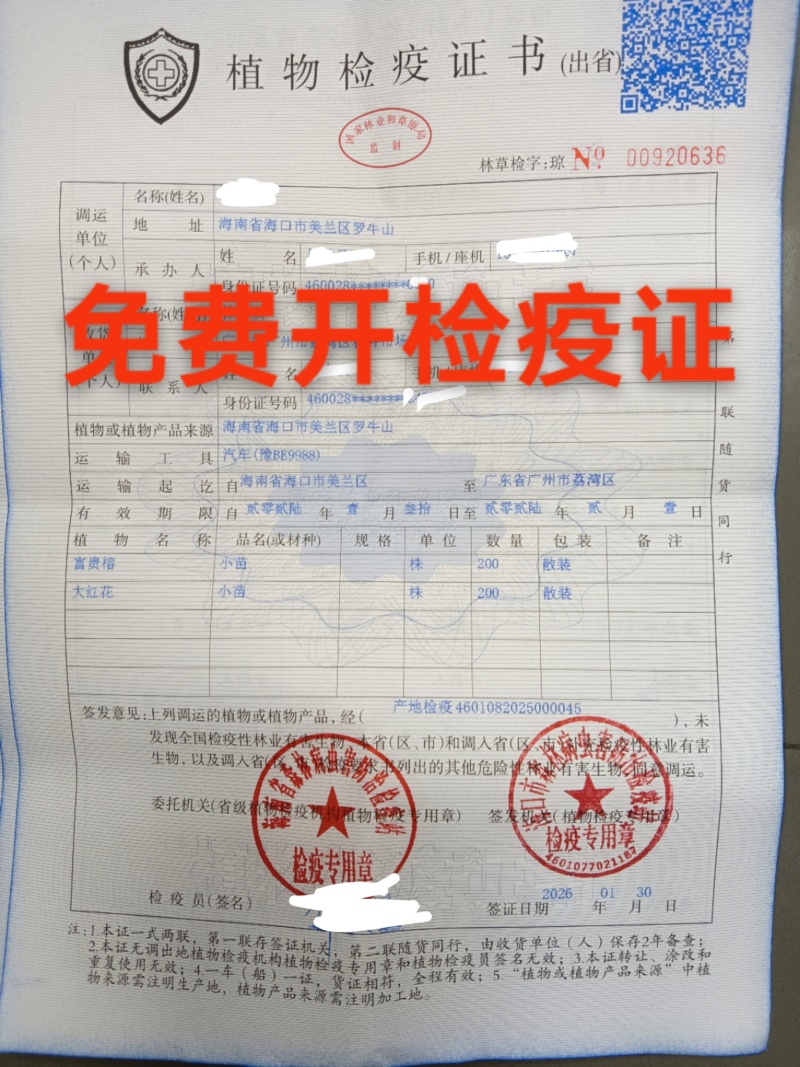 代开苗木检疫证，水果蔬菜检疫证，专业代开检疫证