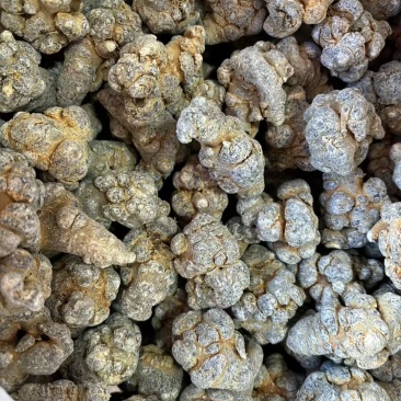 文山三七，自己种植，没有中间商赚差价