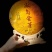 2012冰岛金芽熟茶厂直销工厂发货，全国包邮
