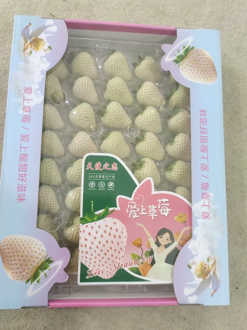 山东青岛白草莓上市产地直发规格齐全保质保量欢迎随时联系
