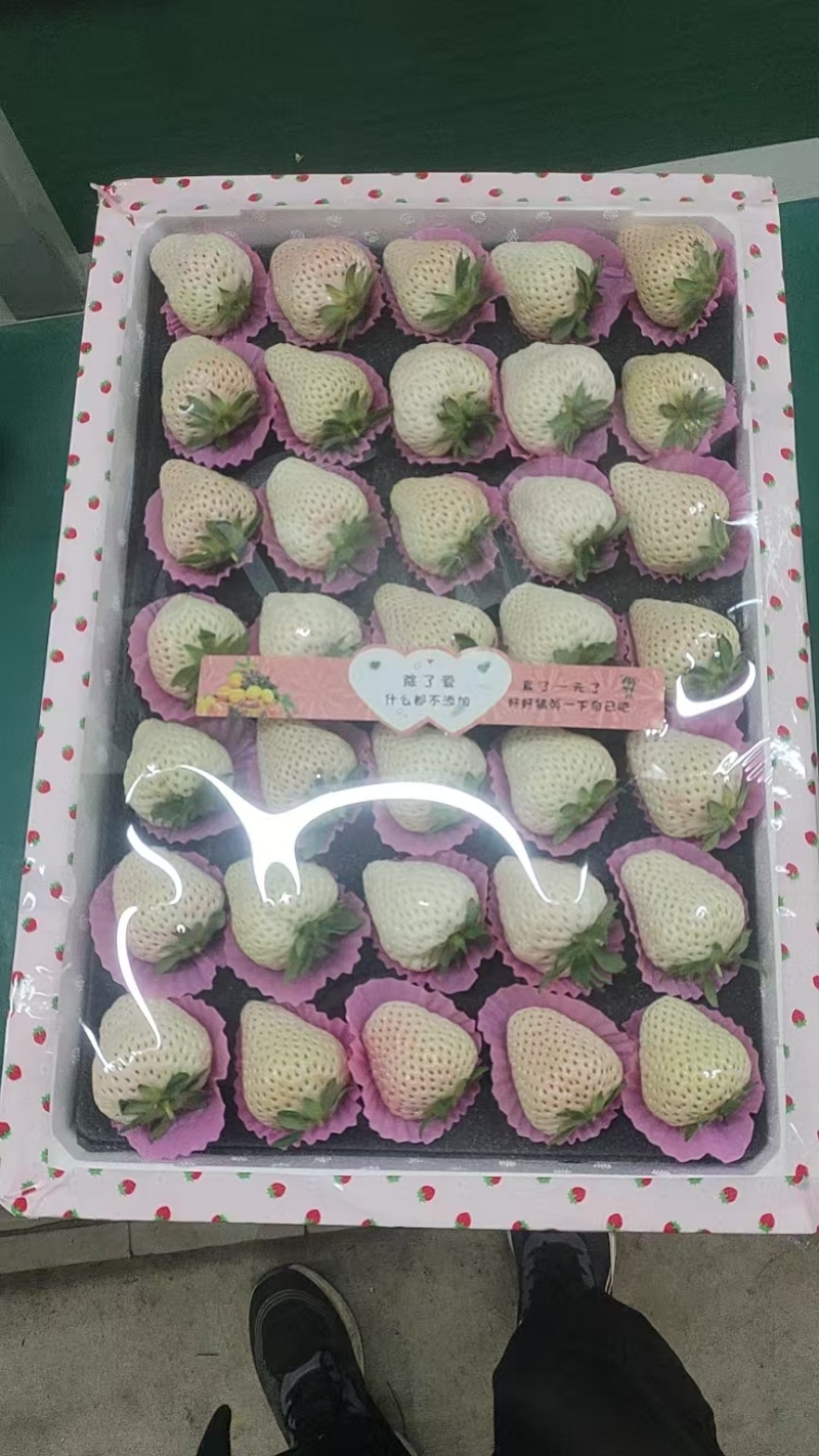 山东青岛白草莓上市产地直发规格齐全保质保量欢迎随时联系