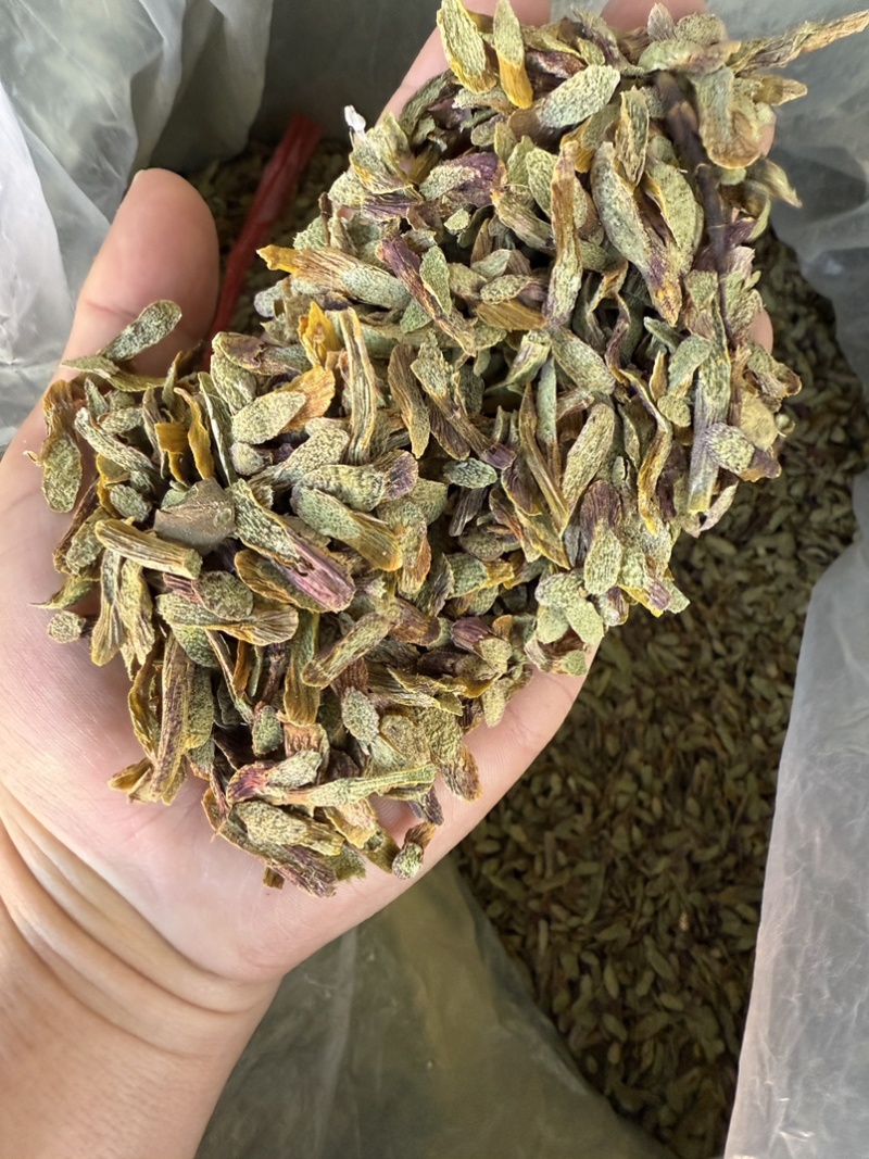铁皮石斛切片，泡水成紫色汤