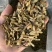 铁皮石斛切片，泡水成紫色汤