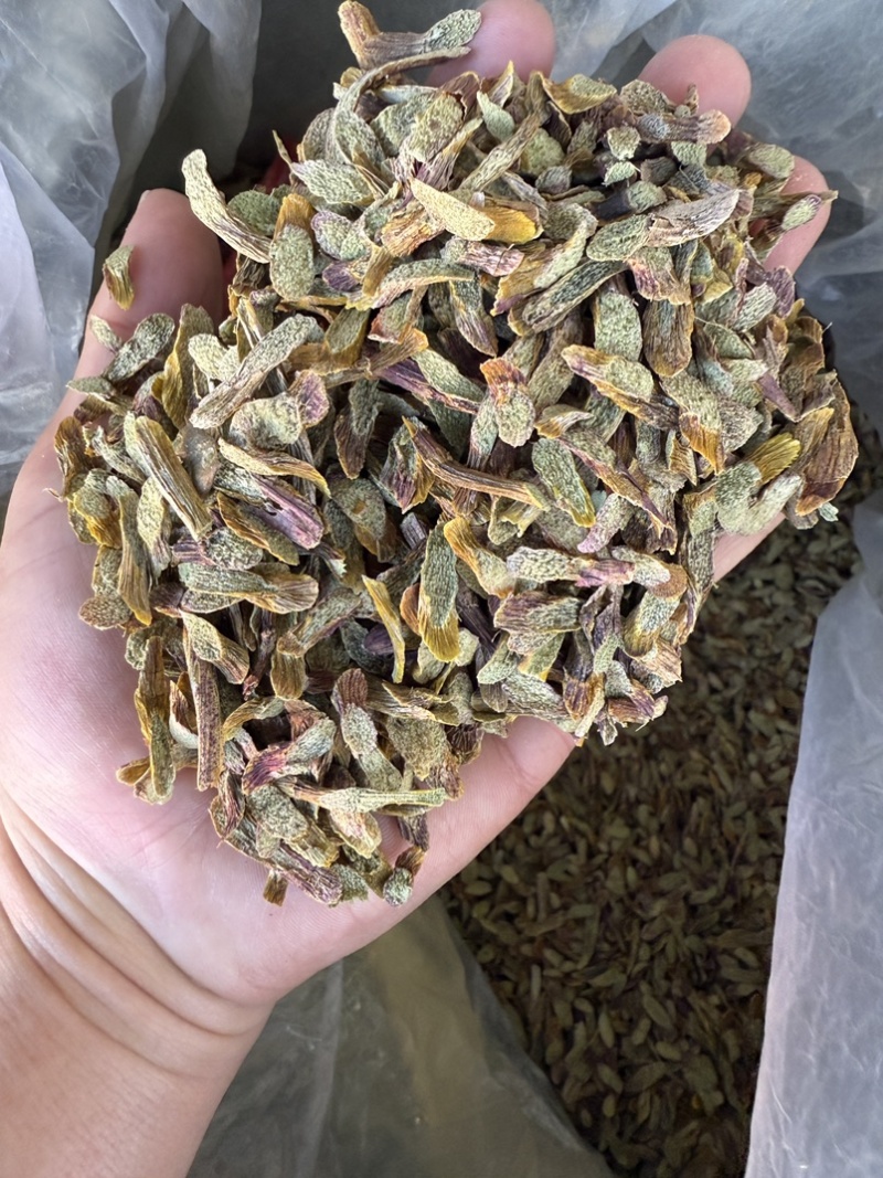 铁皮石斛切片，泡水成紫色汤
