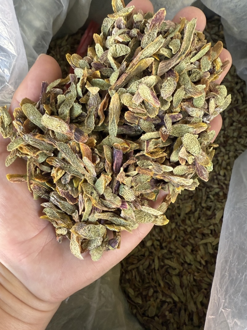 铁皮石斛切片，泡水成紫色汤