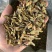 铁皮石斛切片，泡水成紫色汤