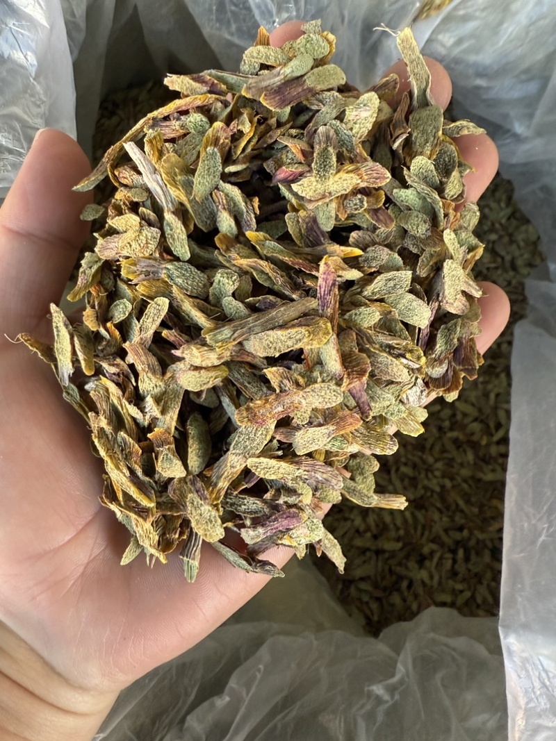 铁皮石斛切片，泡水成紫色汤