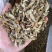 铁皮石斛切片，泡水成紫色汤