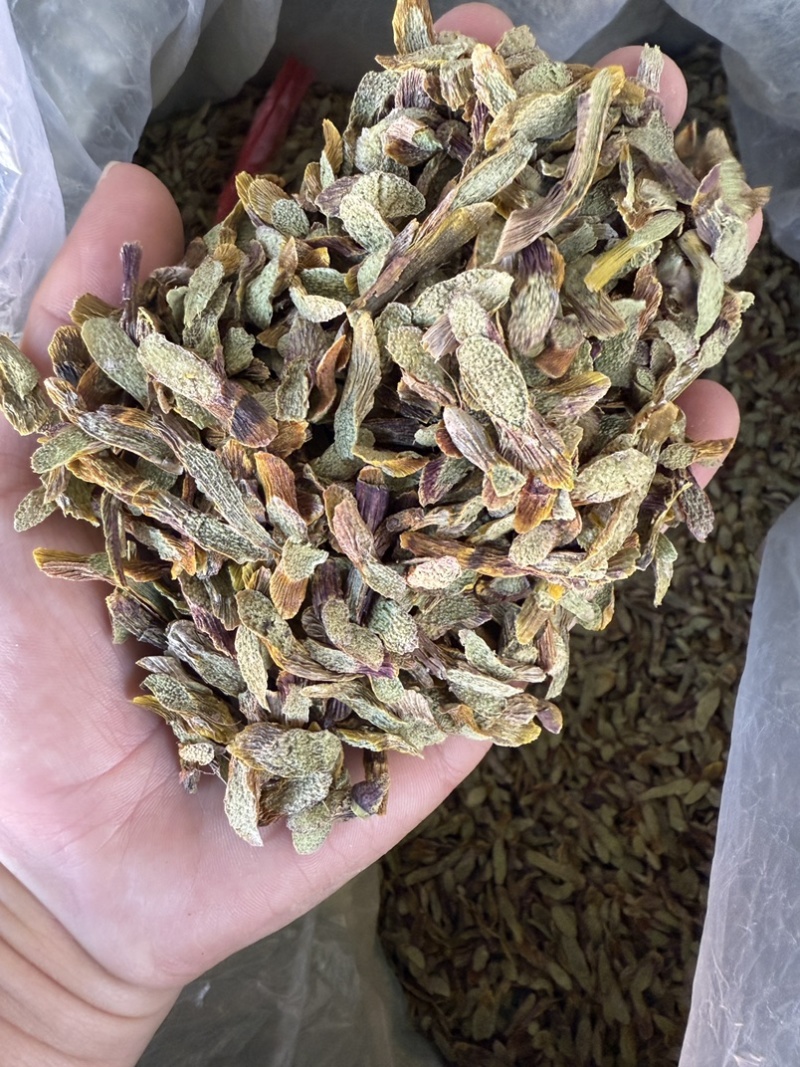 铁皮石斛切片，泡水成紫色汤