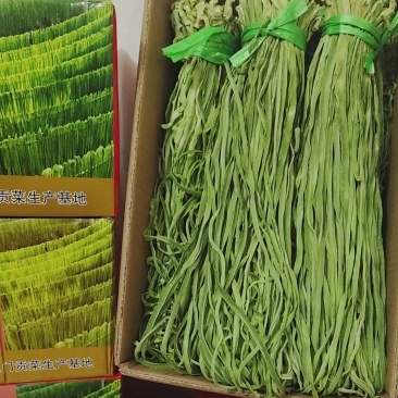 一二级通货云南大理贡菜产地长期稳定供应欢迎砸单