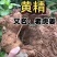 野生黄金