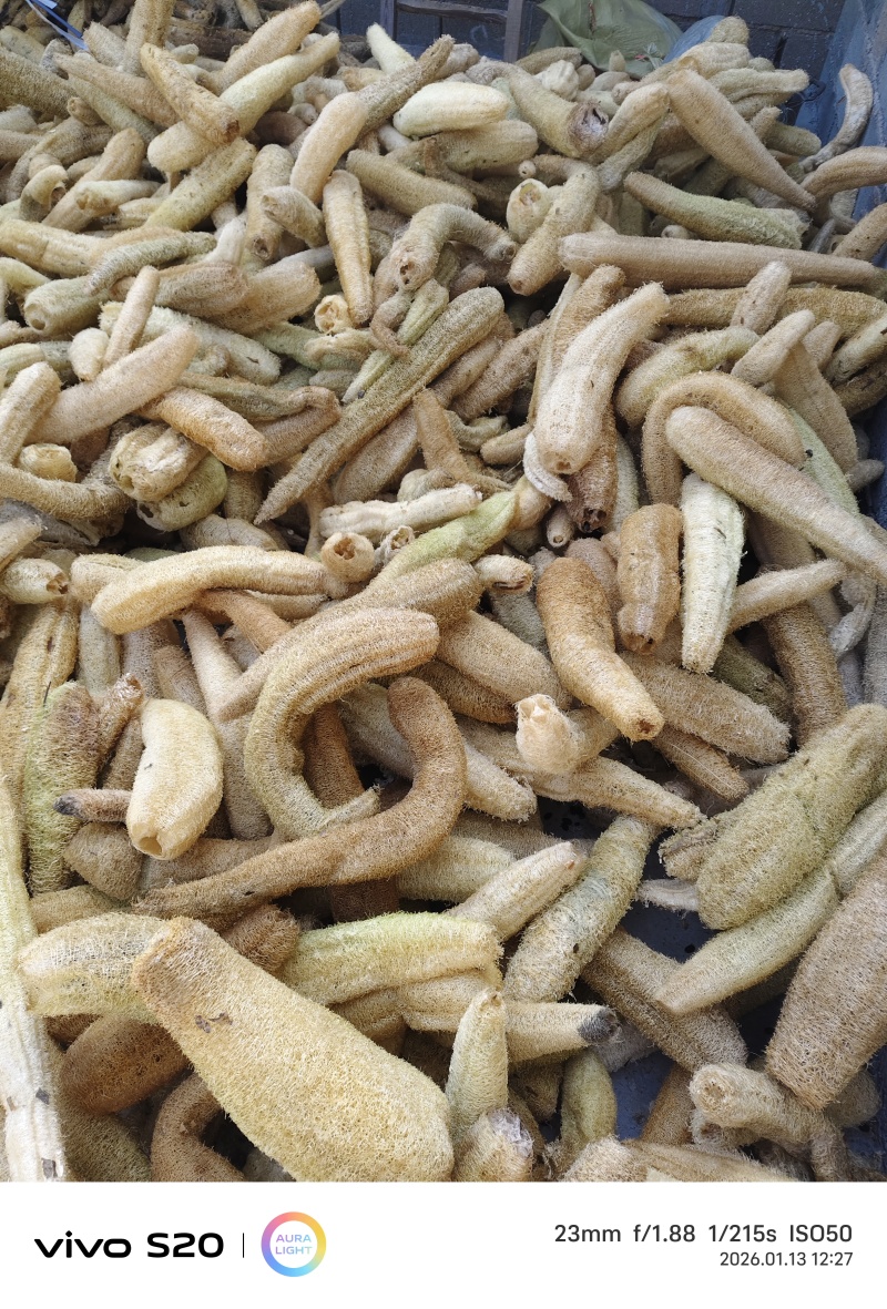 丝瓜络
