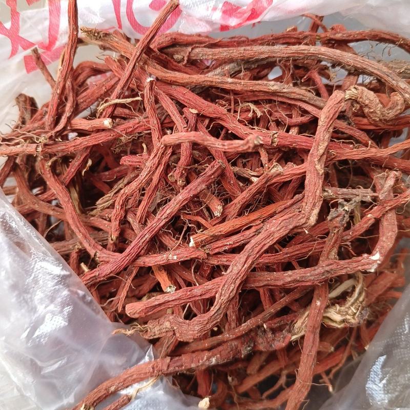 丹参条血参根选条个子河南伏牛山裕丹参