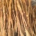 鹿筋干鹿筋梅花鹿鹿筋带蹄夹净筋打粉泡酒梅花鹿鹿筋