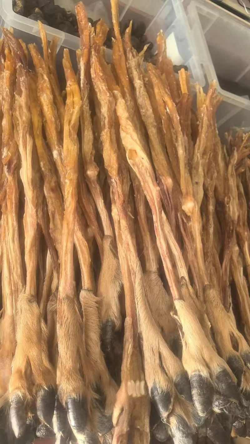 鹿筋干鹿筋梅花鹿鹿筋带蹄夹净筋打粉泡酒梅花鹿鹿筋