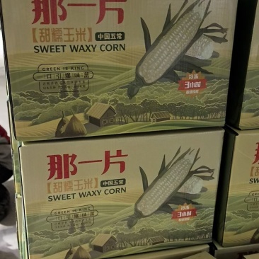 黑龙江糯玉米