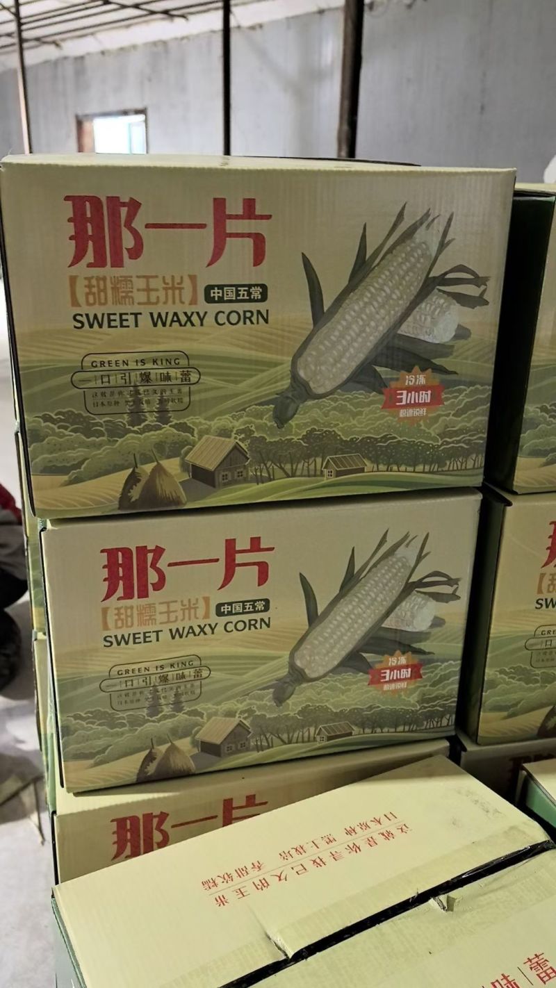 黑龙江糯玉米