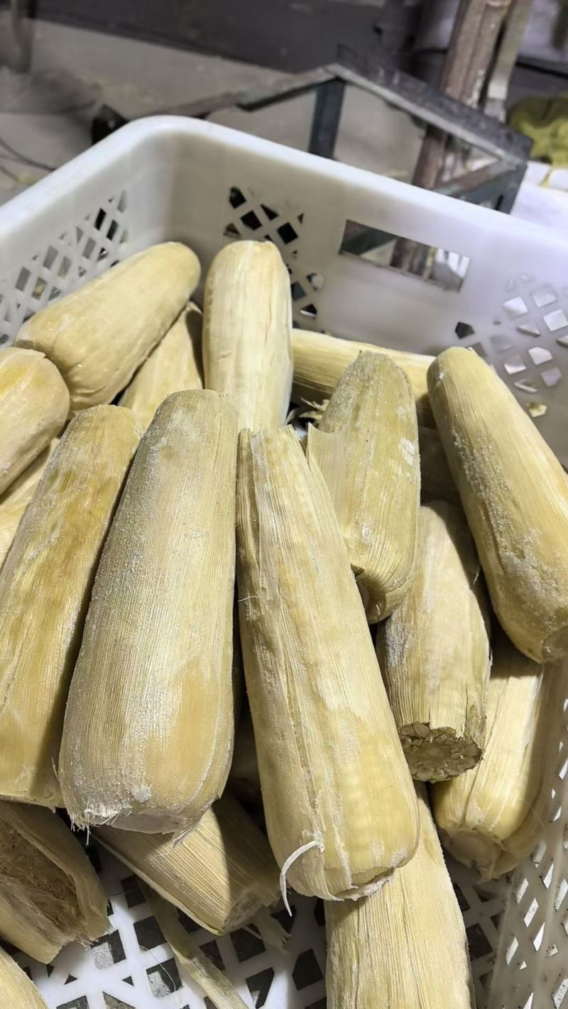 黑龙江糯玉米