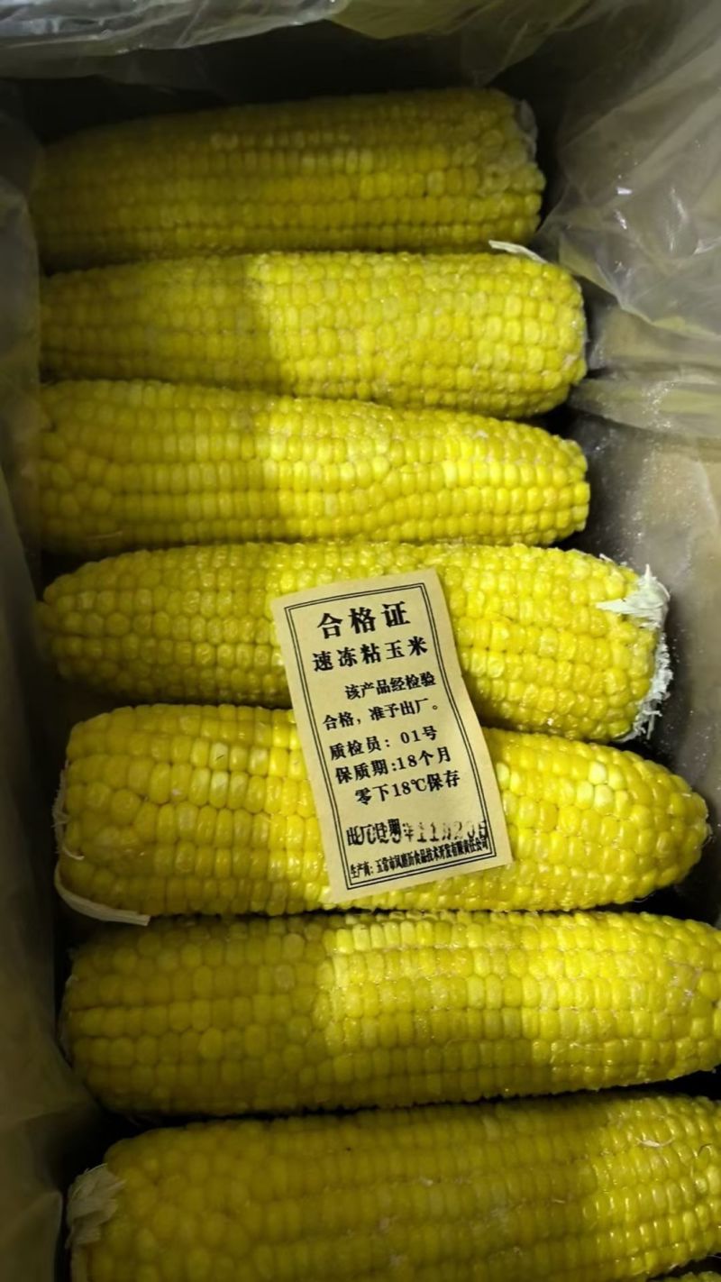 黑龙江糯玉米