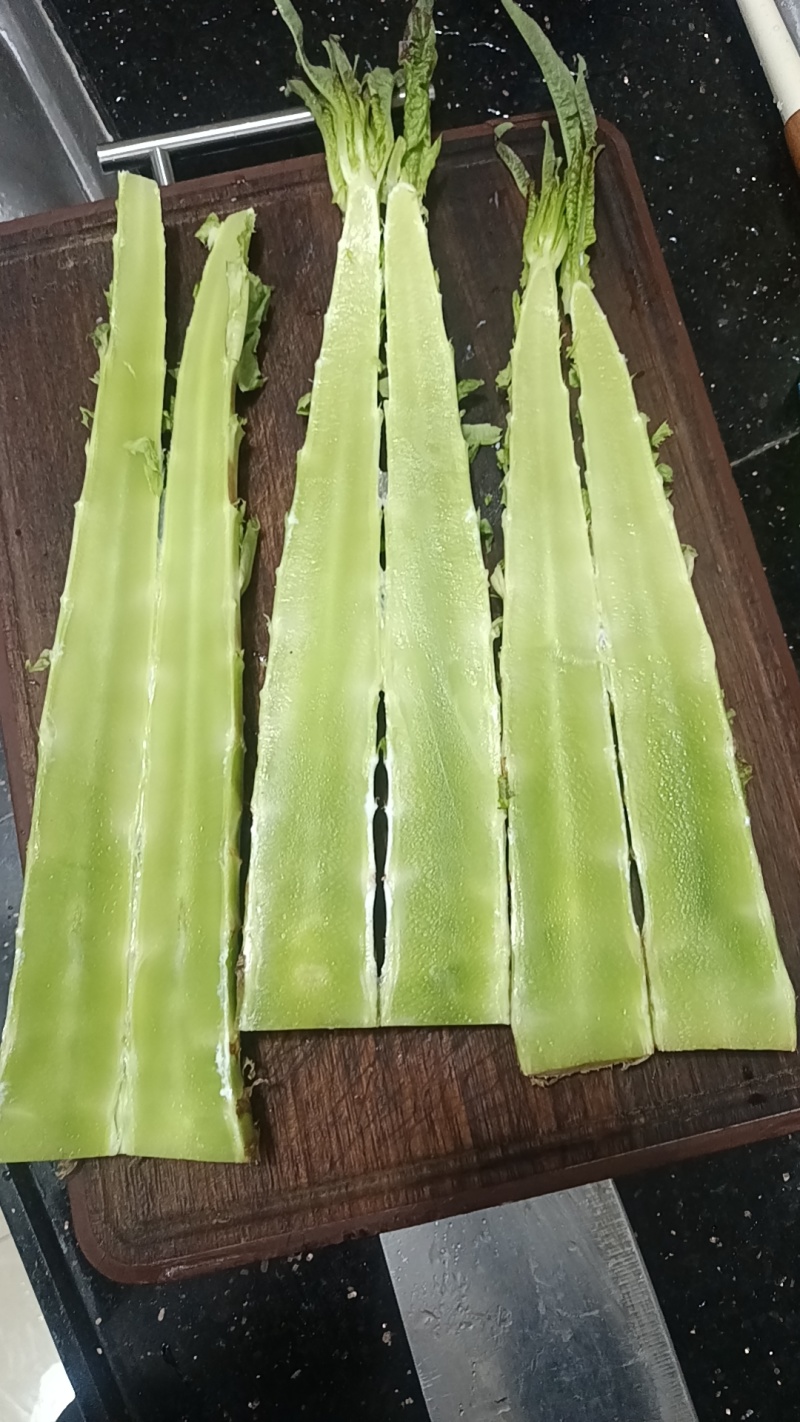 尖叶莴笋杆子