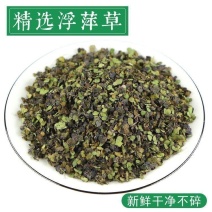 浮萍草中药材野生无硫新鲜干货紫背浮萍草批发零售