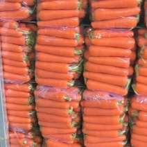 精品红萝卜