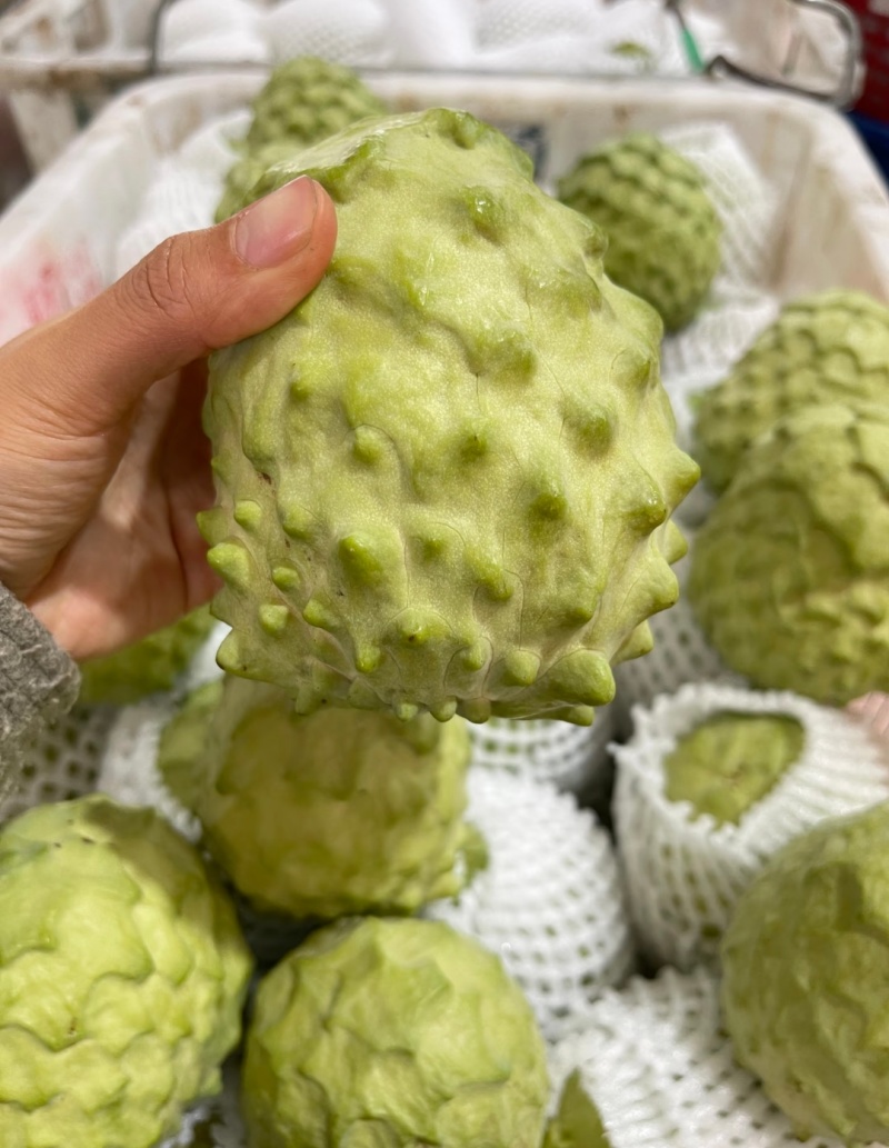 凤梨释迦果批发