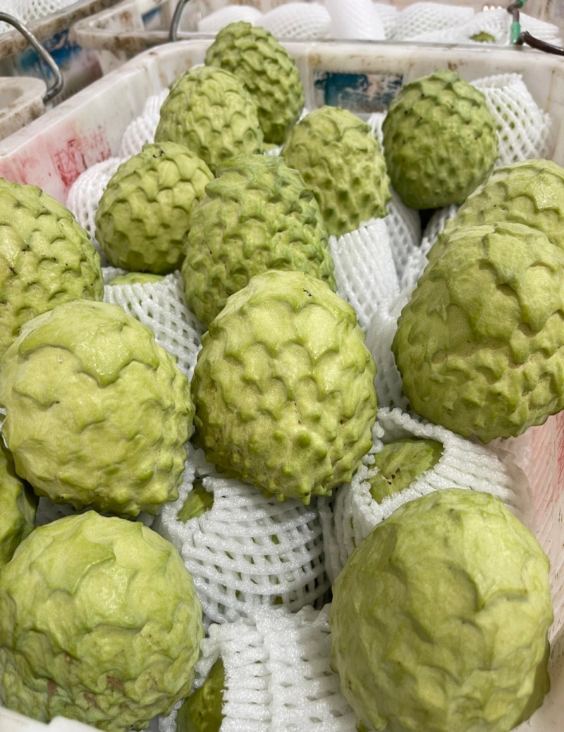 凤梨释迦果批发