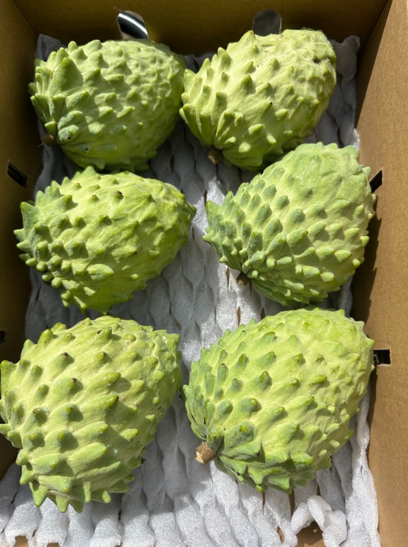 凤梨释迦果批发
