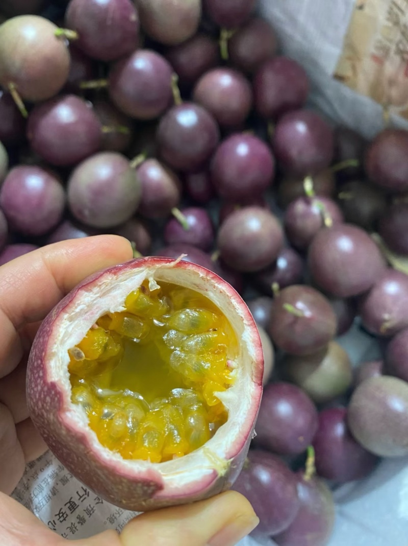 金都3号蜜桃百香果