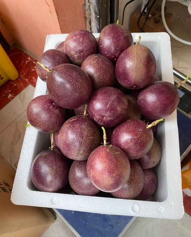 金都3号蜜桃百香果