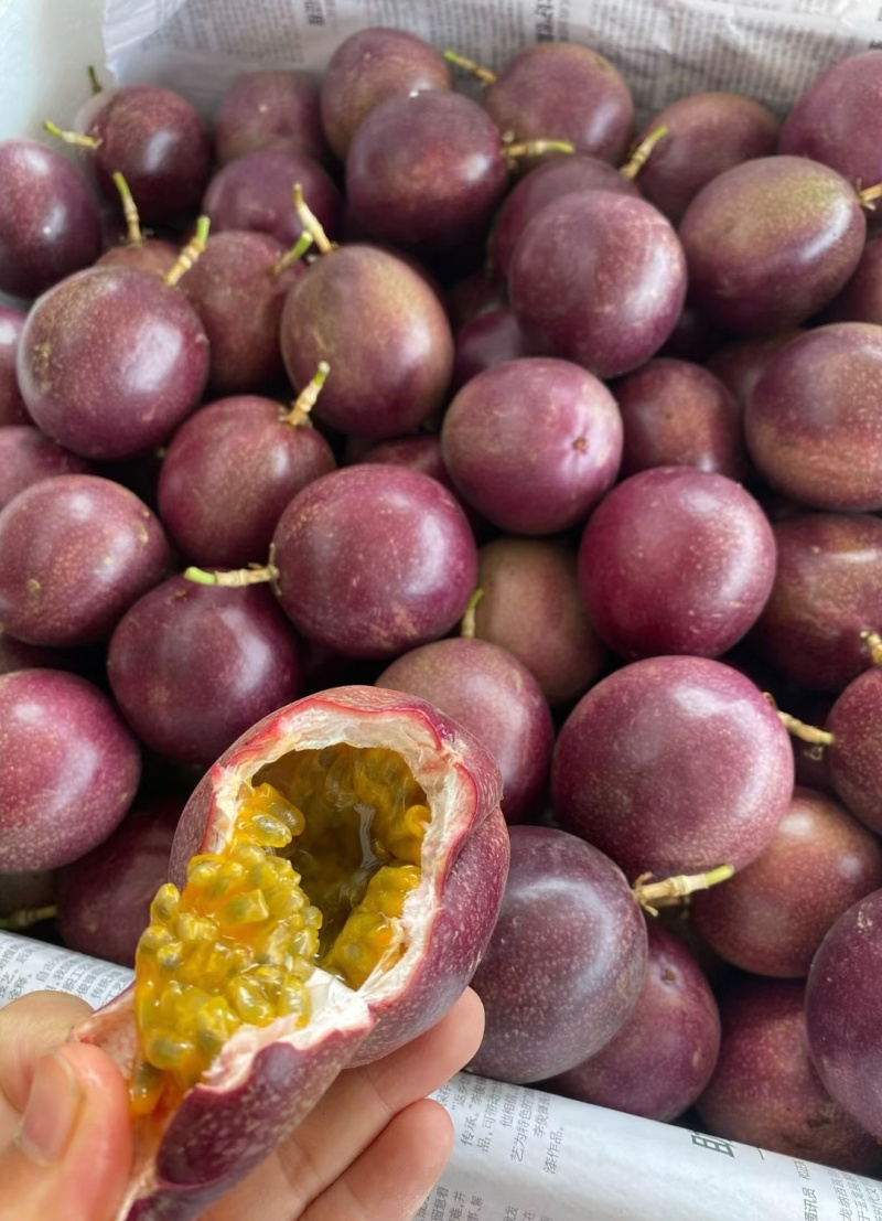 金都3号蜜桃百香果