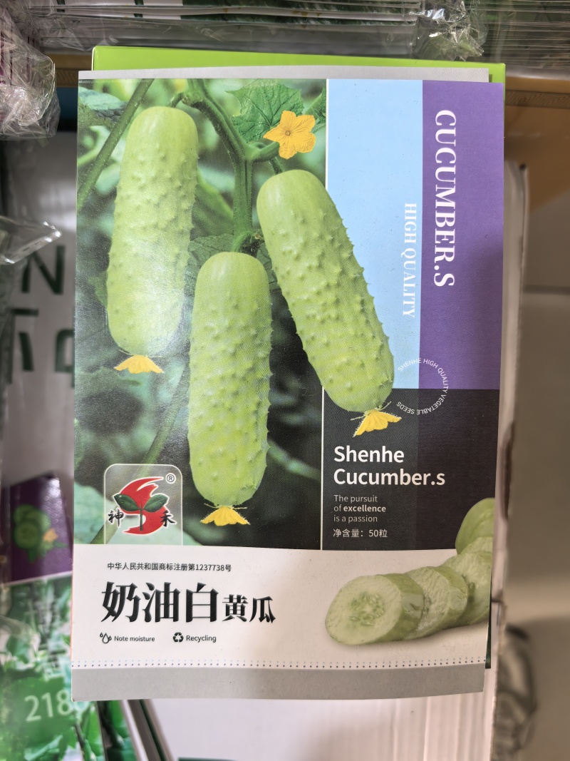 奶油白黄瓜种子强雌型水果黄瓜种子早熟耐寒耐热50粒