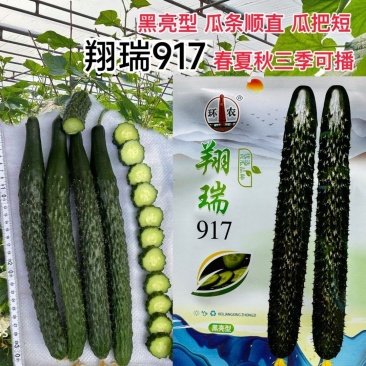 黄瓜种子翔瑞917黄瓜种子黑亮型杂交黄瓜种子抗病高产黄瓜