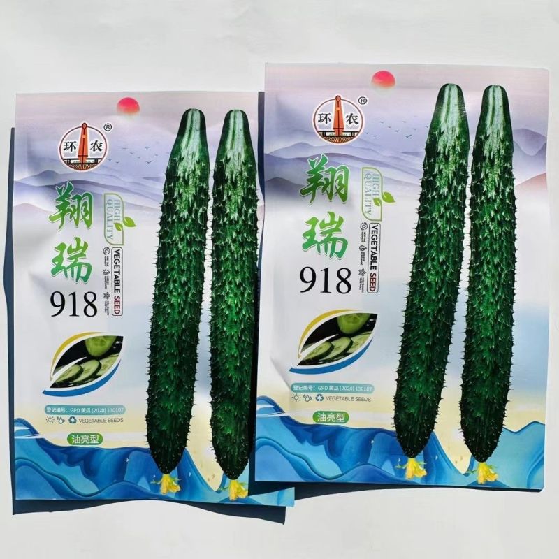 黄瓜种子翔瑞917黄瓜种子黑亮型杂交黄瓜种子抗病高产黄瓜