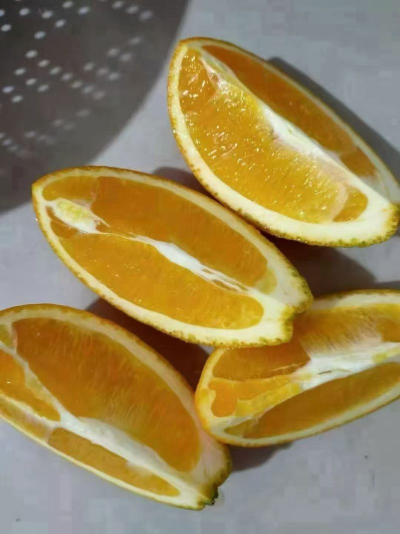 正宗秭归长虹脐橙（长红）
