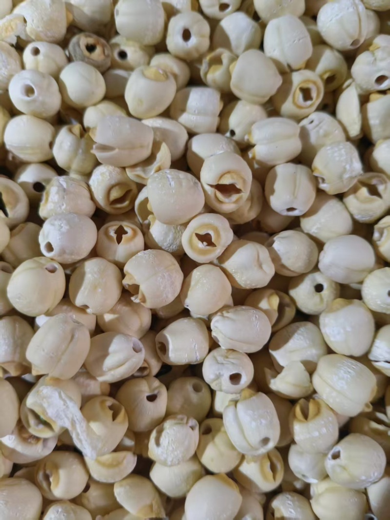 湖南莲子，各种品类都有，可以进店随时咨询