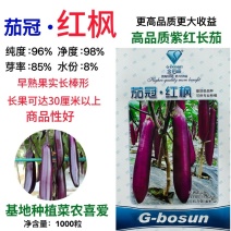 茄冠红枫茄子种子早熟高产抗病紫红长茄种籽春秋播长茄种子