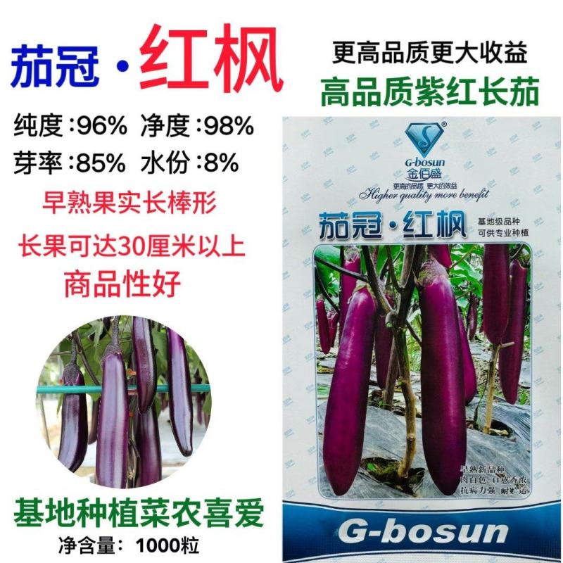 茄冠红枫茄子种子早熟高产抗病紫红长茄种籽春秋播长茄种子