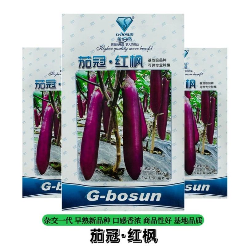 茄冠红枫茄子种子早熟高产抗病紫红长茄种籽春秋播长茄种子