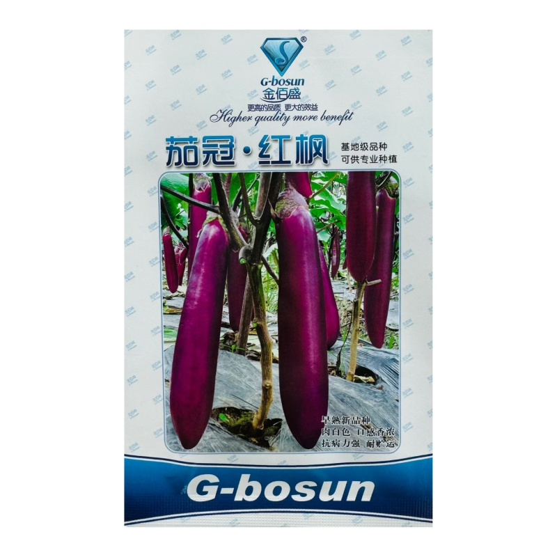 茄冠红枫茄子种子早熟高产抗病紫红长茄种籽春秋播长茄种子