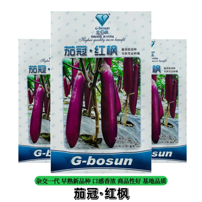茄冠红枫茄子种子早熟高产抗病紫红长茄种籽春秋播长茄种子