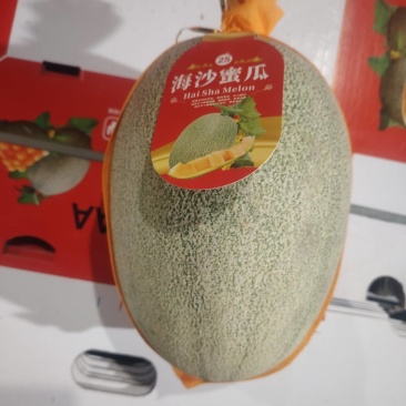 《海南哈密瓜》晓蜜25号/产地直发/实力代办欢迎来电