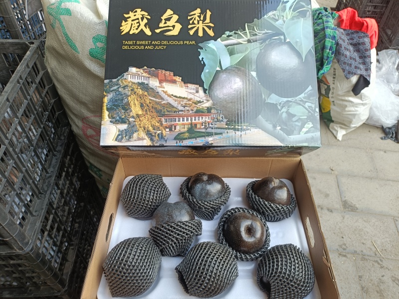 大黑梨年前礼盒大促销