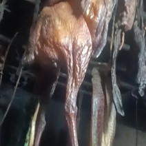 农村火炕土鸡