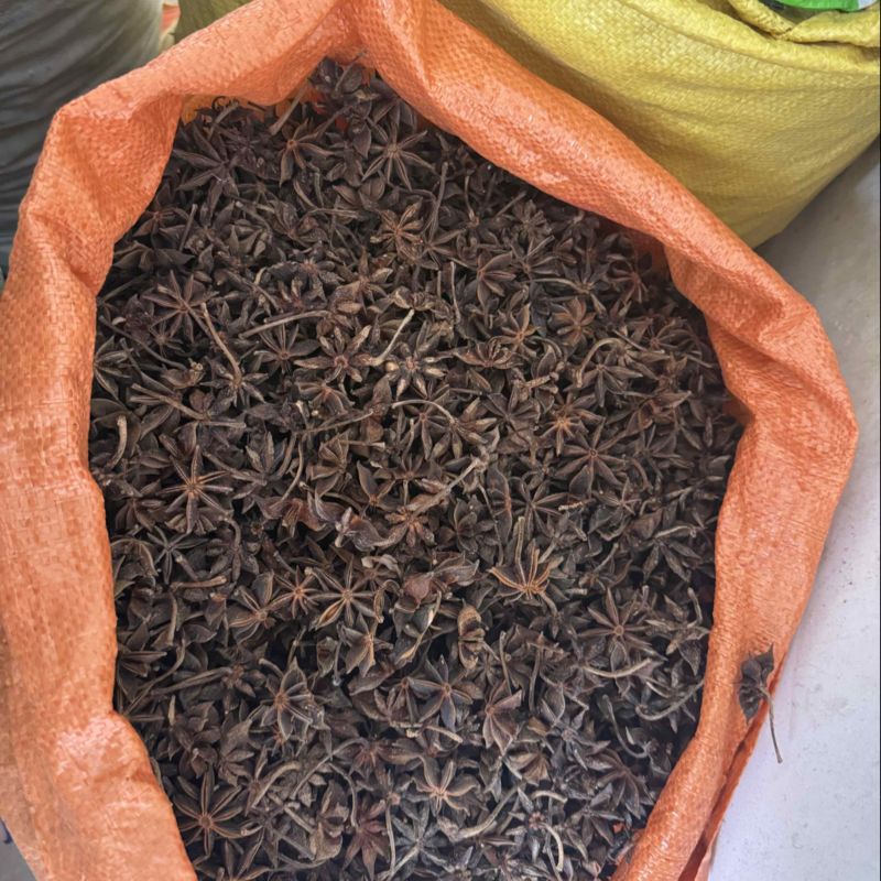 香科八角子