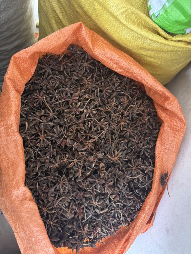 香科八角子