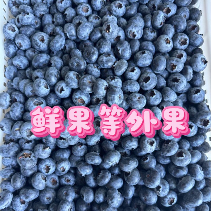 L25蓝莓鲜果等外果14+蓝莓高次鲜果次果云南蓝莓