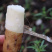 焦作温县铁棍山药/基地直发/货源充足/欢迎选购